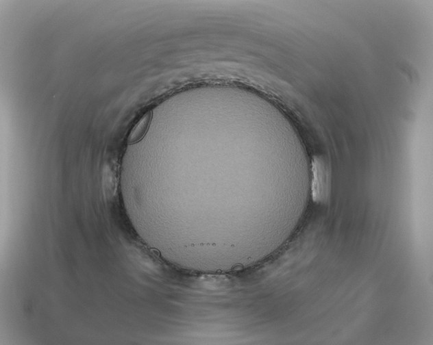 X0000113051491200909101928