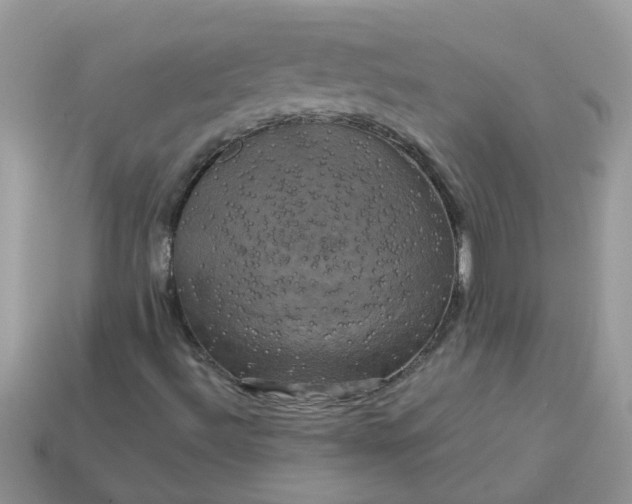 X0000113051492200909101928