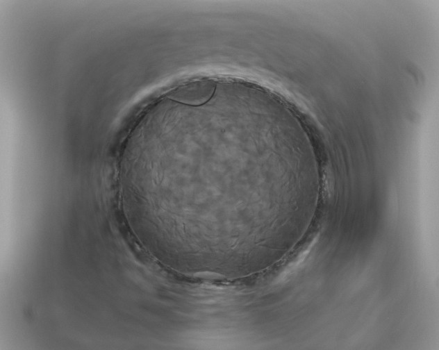 X0000113051494200909101928