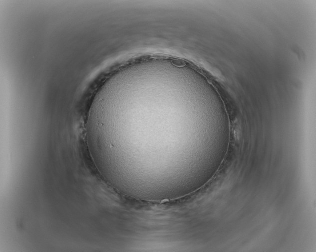 X0000113051495200909101928