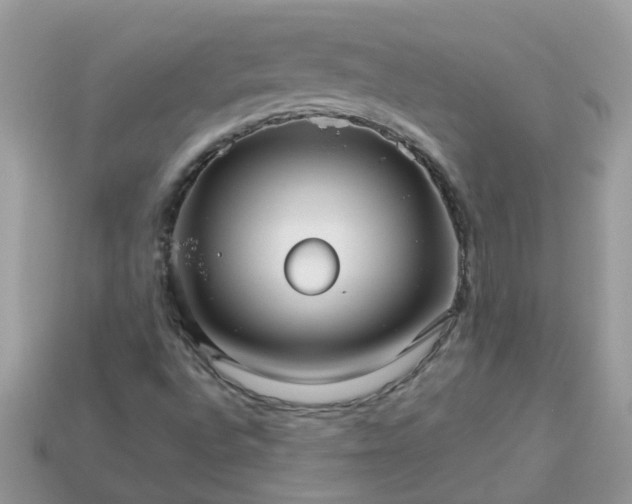 X0000113051496200909101928