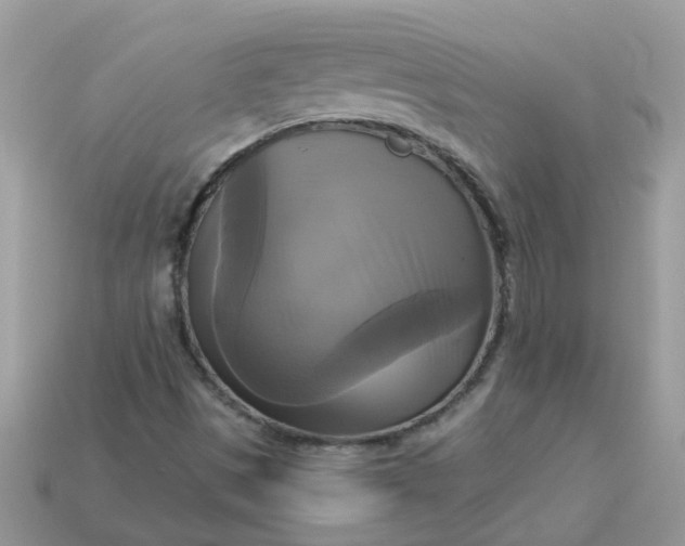 X0000113051497200909101928