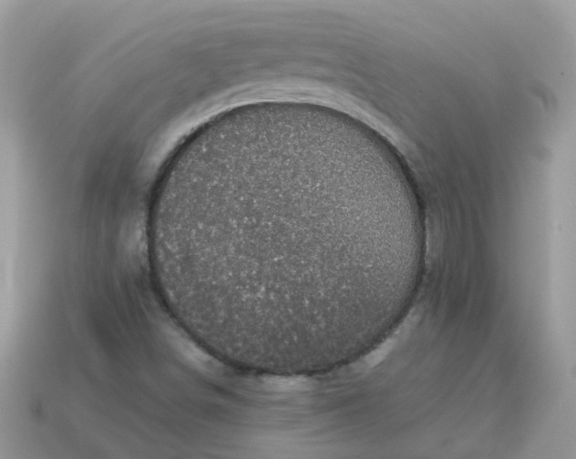 X0000113051498200909101928