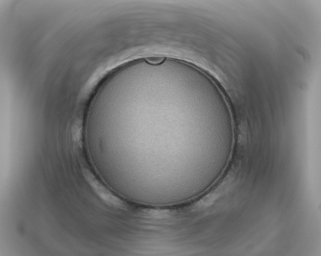 X0000113051499200909101928