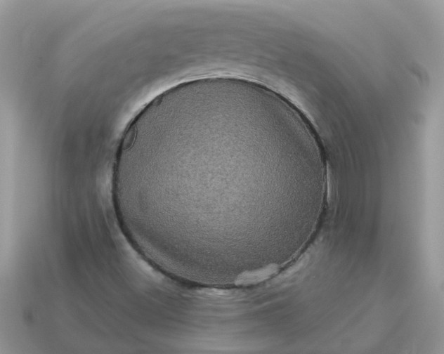 X0000113051500200909101928