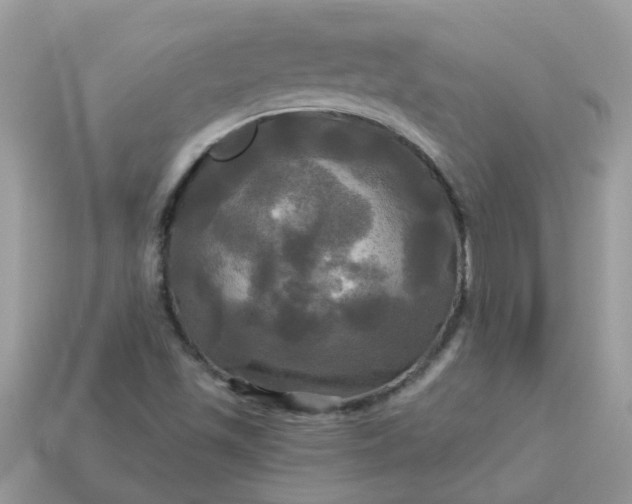 X0000113051501200909101928