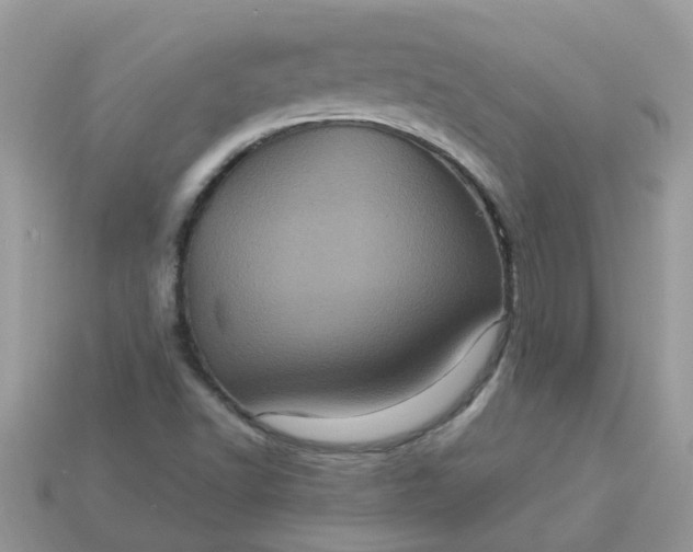 X0000113051502200909101928