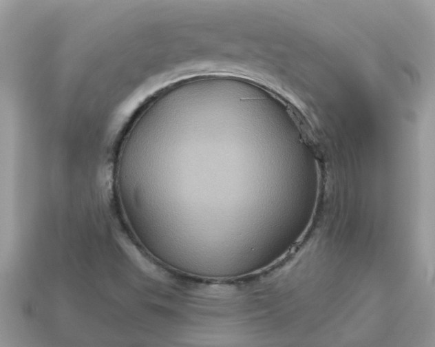 X0000113051503200909101928