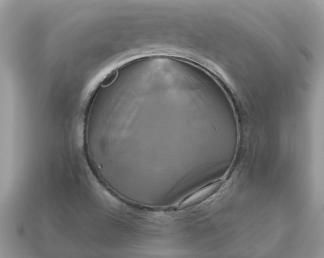 X0000113051504200909101928