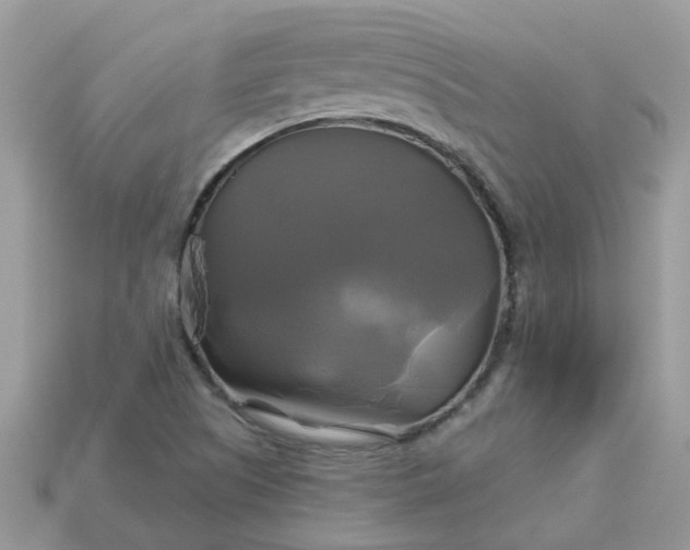 X0000113051505200909101928