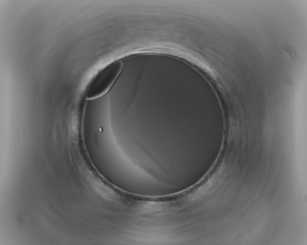 X0000113051506200909101928