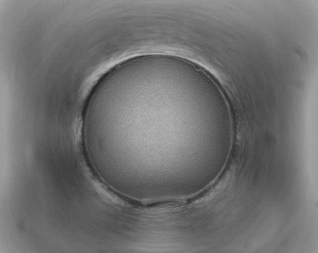 X0000113051507200909101928