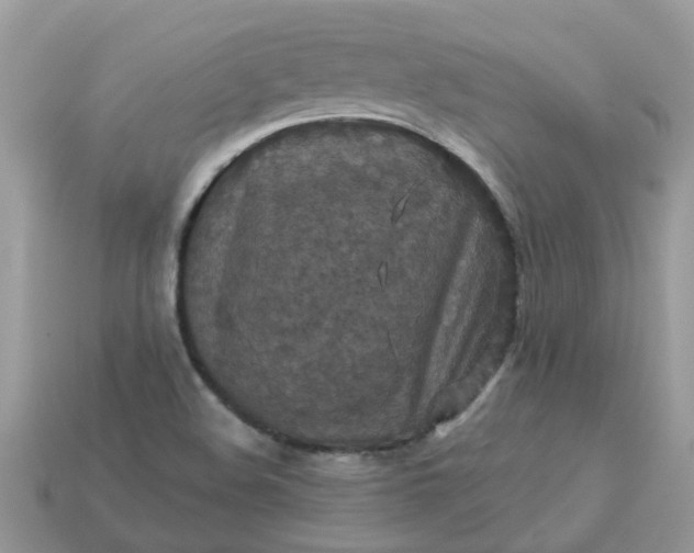 X0000113051508200909101928