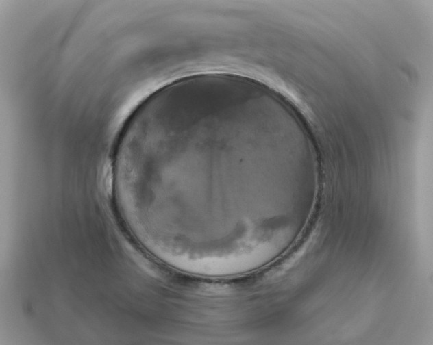 X0000113051509200909101928