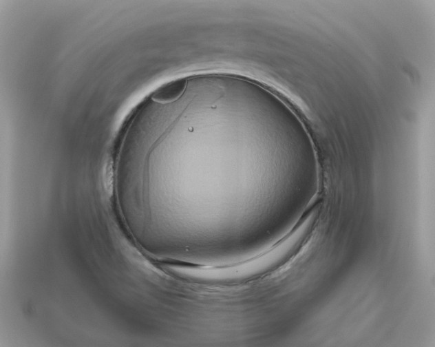 X0000113051510200909101928