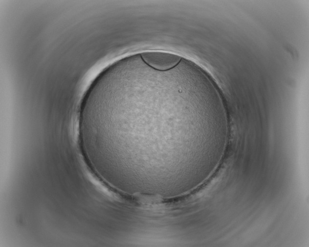 X0000113051511200909101928