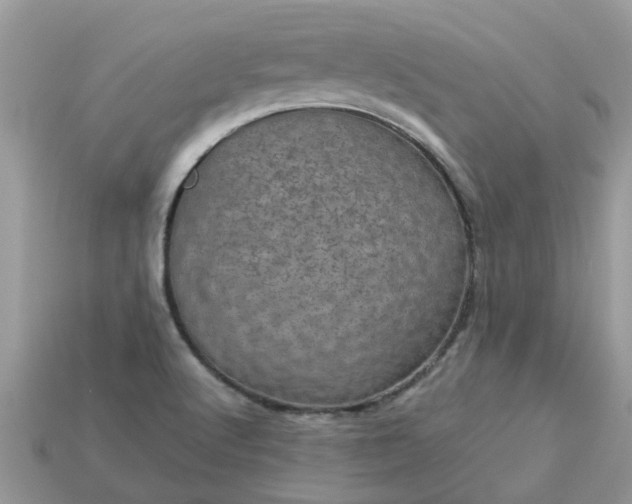 X0000113051512200909101928