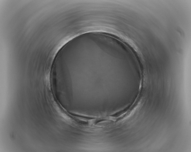 X0000113051513200909101928