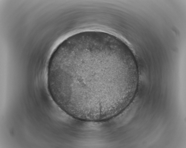 X0000113051514200909101928