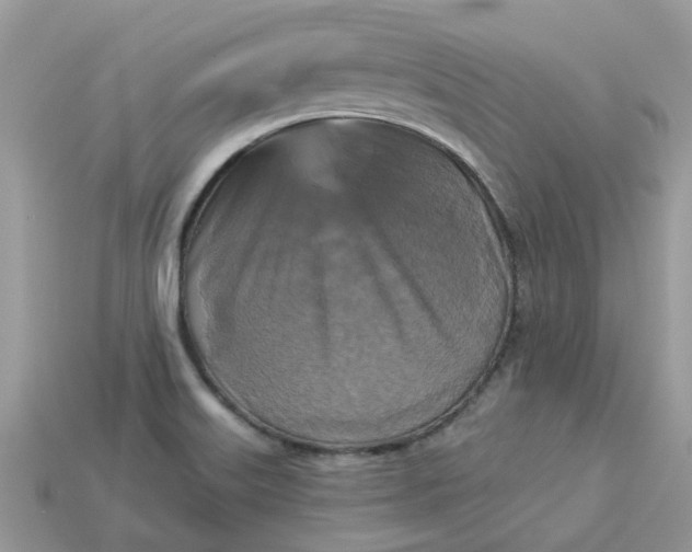 X0000113051515200909101928