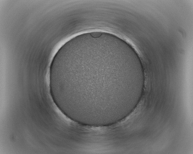 X0000113051516200909101928