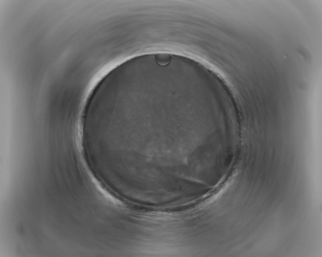 X0000113051517200909101928