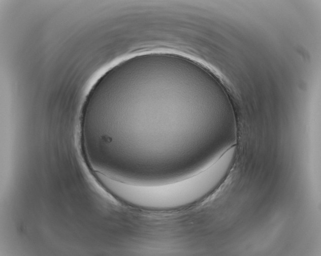 X0000113051518200909101928