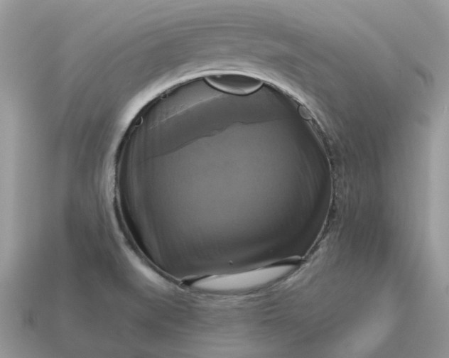 X0000113051519200909101928