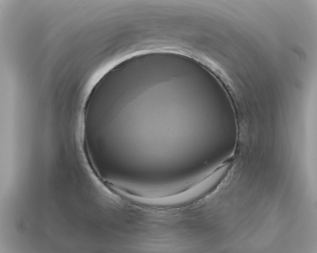 X0000113051520200909101928