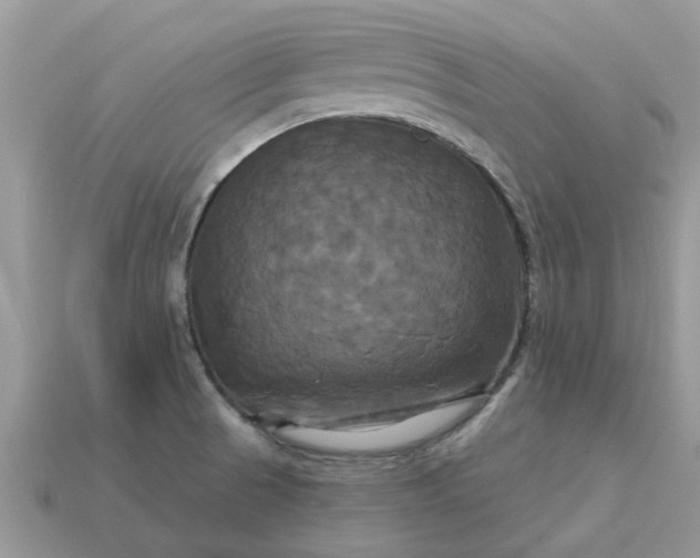 X0000113051521200909101928