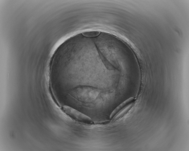 X0000113051522200909101928