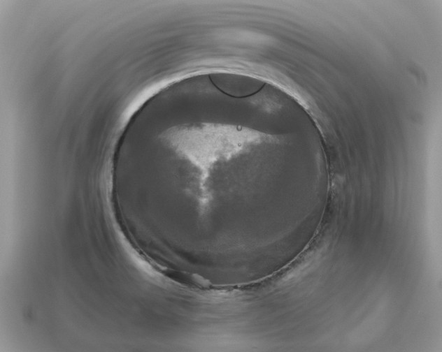 X0000113051523200909101928