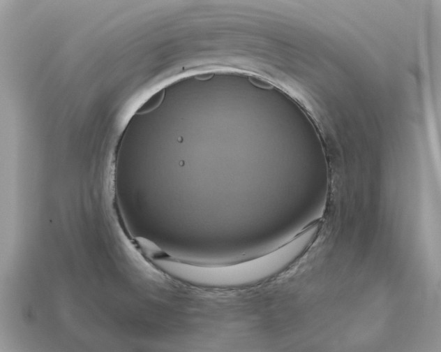 X0000113051524200909101928