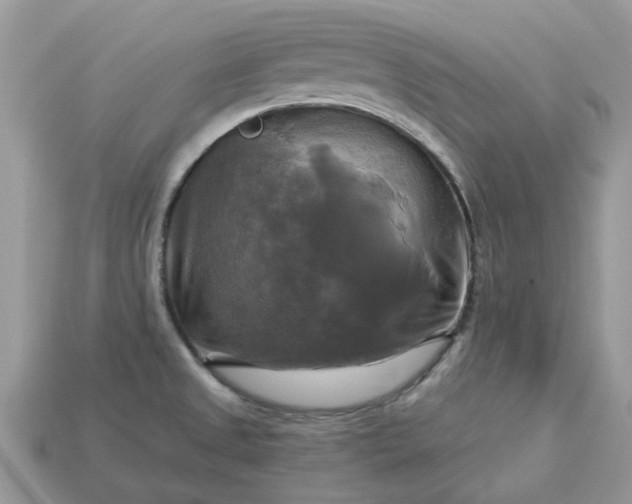 X0000113051525200909101928