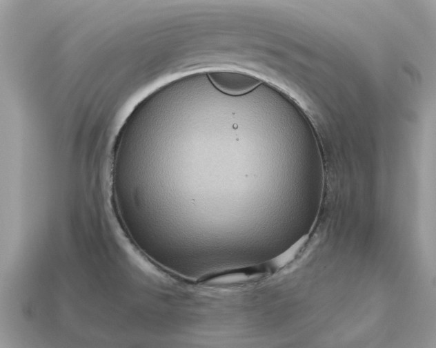 X0000113051526200909101928