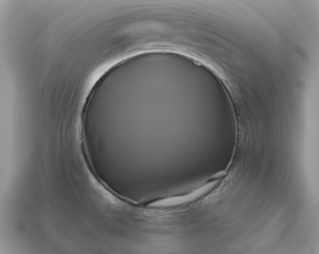 X0000113051527200909101928