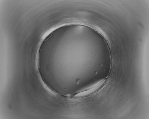 X0000113051528200909101928