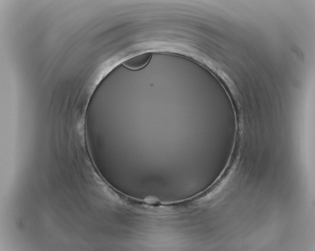 X0000113051529200909101928