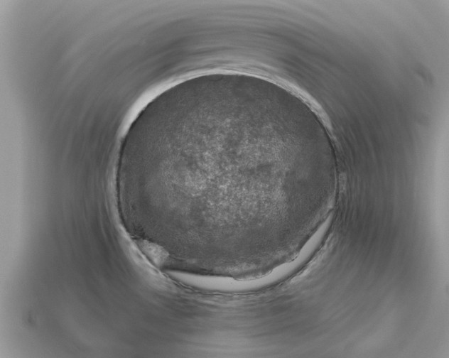 X0000113051530200909101929