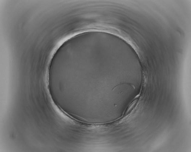 X0000113051531200909101929