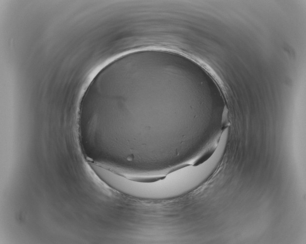 X0000113051532200909101929