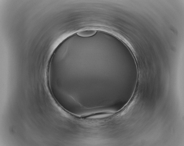 X0000113051533200909101929