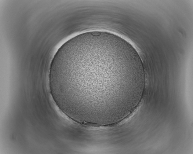 X0000113051534200909101929