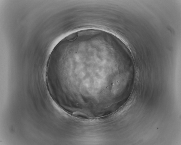 X0000113051535200909101929