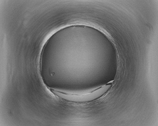 X0000113051536200909101929