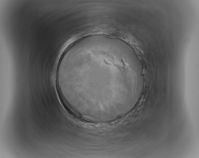 X0000113050003200909171550