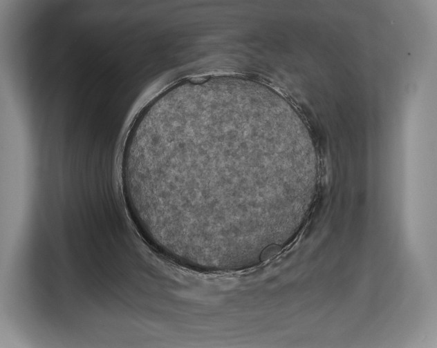 X0000113050004200909171550