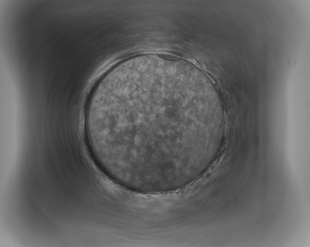 X0000113050005200909171550