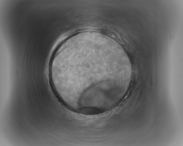 X0000113050006200909171550