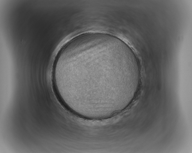 X0000113050007200909171550